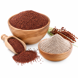 Finger Millet (Ragi)