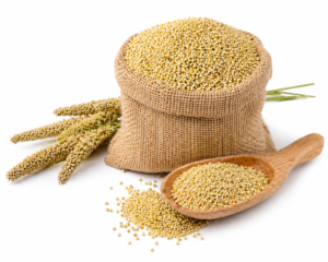 Little Millet (Samalu